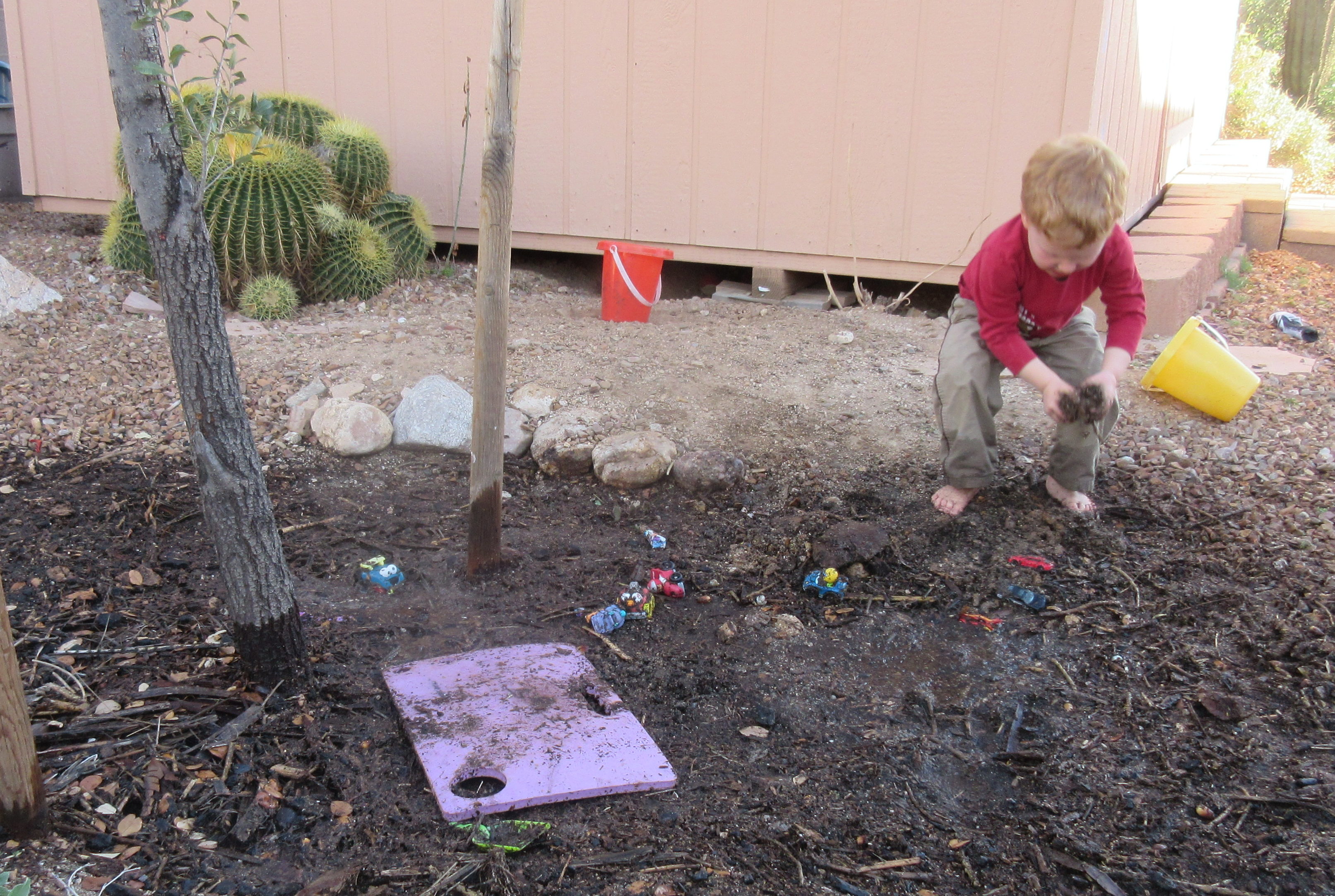 Tucson Gardening Classes for Kids