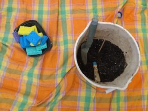 sponges and real soil