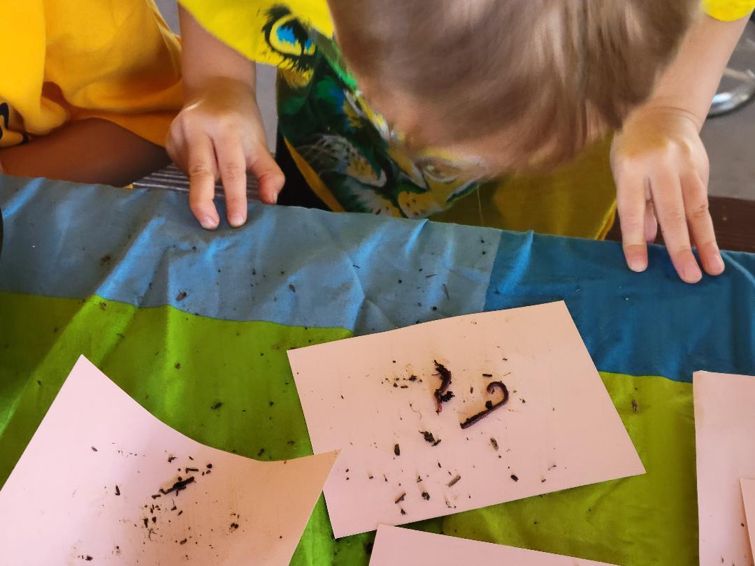 Cub looking at worms